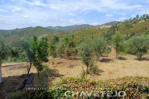 Byhus i Vila de Rei, Castelo Branco, Vila de Rei - € 149.000 | Ref: 539/26 - foto 9