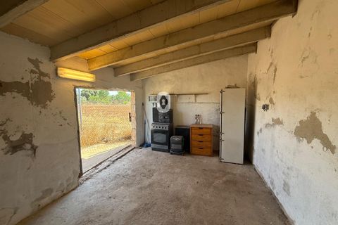 Helårsgrund i Sa Pobla, Mallorca - foto 3