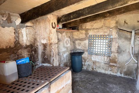 Tomt i Sa Pobla, Mallorca, Sa Pobla - € 105 000 | Ref: P002970/10684 - foto 9