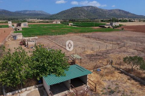 Tomt i Sa Pobla, Mallorca, Sa Pobla - € 105 000 | Ref: P002970/10684 - foto 11