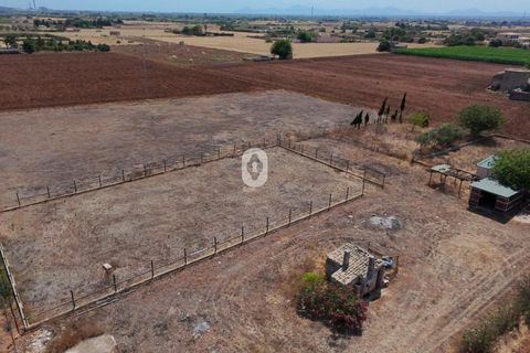 Tomt i Sa Pobla, Mallorca, Sa Pobla - € 105 000 | Ref: P002970/10684 - foto 12