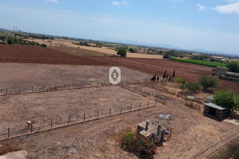 Tomt i Sa Pobla, Mallorca, Sa Pobla - € 105 000 | Ref: P002970/10684 - foto 13