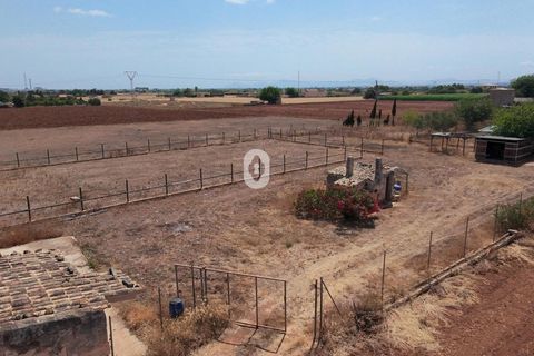 Tomt i Sa Pobla, Mallorca, Sa Pobla - € 105 000 | Ref: P002970/10684 - foto 14