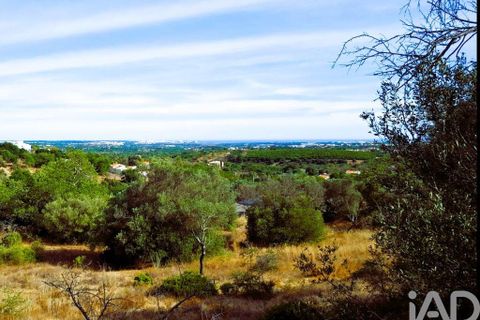 Gård i Albufeira, Faro, Albufeira - € 160 000 | Ref: 975767 - foto 3