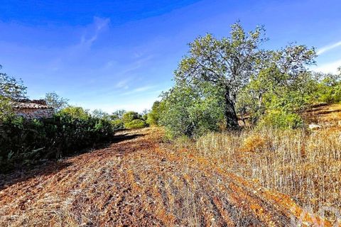 Gård i Albufeira, Faro, Albufeira - € 160 000 | Ref: 975767 - foto 7