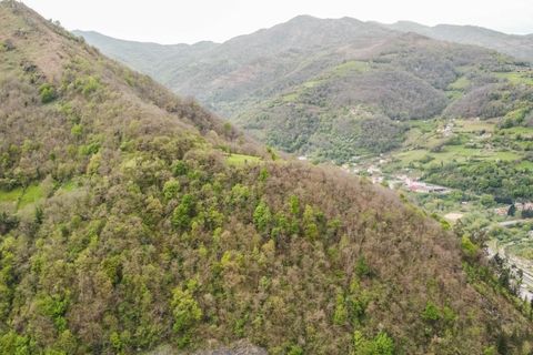 Villa a Aller, Asturias, Aller - € 55.000 | Ref: EXP15140/8930 - foto 48