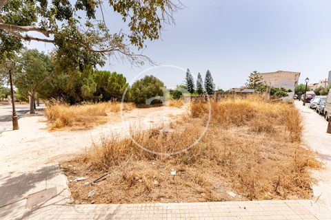 Helårsgrund i Binissalem, Mallorca, Binissalem - € 1.100.000 | Ref: VPM2607013 - foto 2