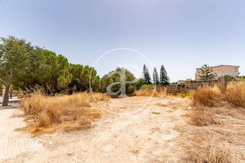 Helårsgrund i Binissalem, Mallorca, Binissalem - € 1.100.000 | Ref: VPM2607013 - foto 3