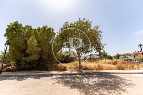 Helårsgrund i Binissalem, Mallorca, Binissalem - € 1.100.000 | Ref: VPM2607013 - foto 4