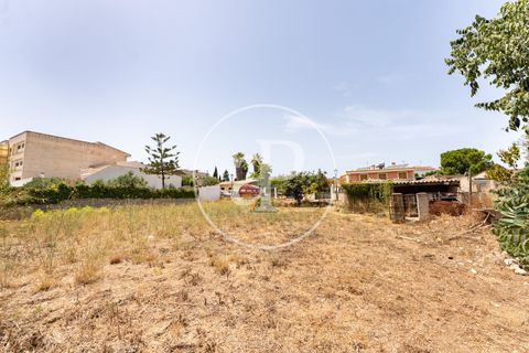 Helårsgrund i Binissalem, Mallorca, Binissalem - € 1.100.000 | Ref: VPM2607013 - foto 5