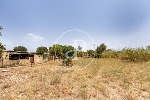 Helårsgrund i Binissalem, Mallorca, Binissalem - € 1.100.000 | Ref: VPM2607013 - foto 6