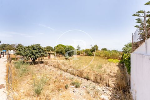 Helårsgrund i Binissalem, Mallorca, Binissalem - € 1.100.000 | Ref: VPM2607013 - foto 7