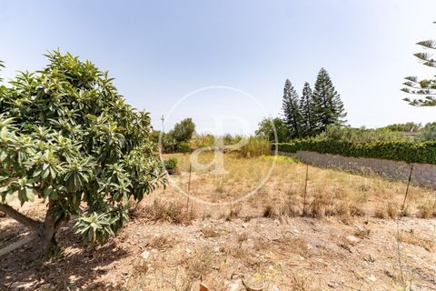 Helårsgrund i Binissalem, Mallorca, Binissalem - € 1.100.000 | Ref: VPM2607013 - foto 9