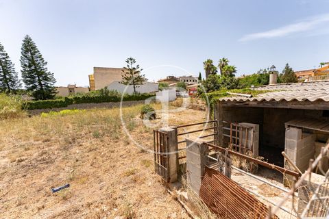 Helårsgrund i Binissalem, Mallorca, Binissalem - € 1.100.000 | Ref: VPM2607013 - foto 10