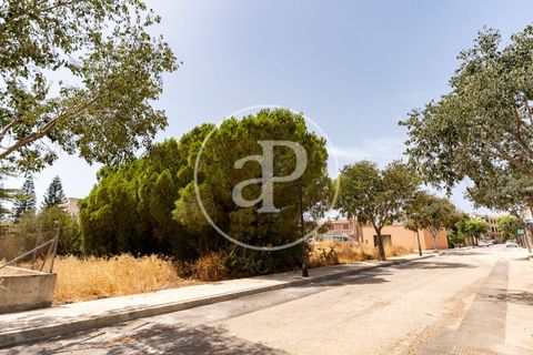 Helårsgrund i Binissalem, Mallorca, Binissalem - € 1.100.000 | Ref: VPM2607013 - foto 11