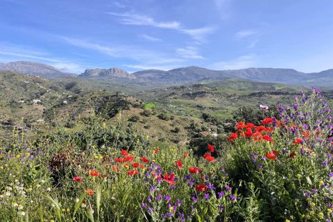 Herregård i Comares, Malaga, Comares - € 369 500 | Ref: 8029 - foto 8