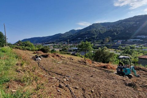 Terra a Camporosso, Imperia, Camporosso - € 60.000 | Ref: F159-1483 - foto 2