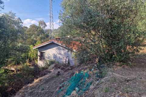 Terra a Camporosso, Imperia, Camporosso - € 60.000 | Ref: F159-1483 - foto 3