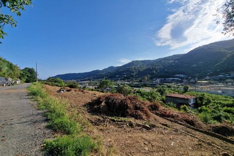 Terra a Camporosso, Imperia, Camporosso - € 60.000 | Ref: F159-1483 - foto 4