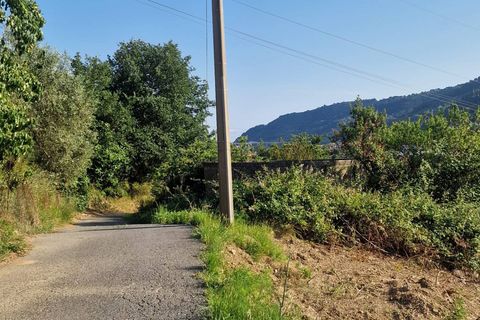 Terra a Camporosso, Imperia, Camporosso - € 60.000 | Ref: F159-1483 - foto 5