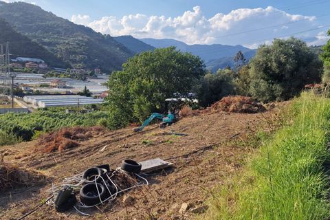 Terra a Camporosso, Imperia, Camporosso - € 60.000 | Ref: F159-1483 - foto 6