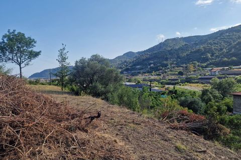 Terra a Camporosso, Imperia, Camporosso - € 60.000 | Ref: F159-1483 - foto 7