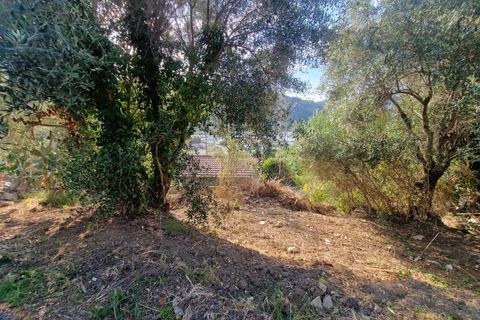 Terra a Camporosso, Imperia, Camporosso - € 60.000 | Ref: F159-1483 - foto 8