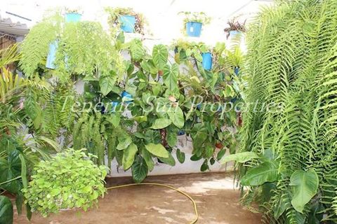 Finca i Tacoronte, Tenerife, Tacoronte - € 350.000 | Ref: rh31114 - foto 10