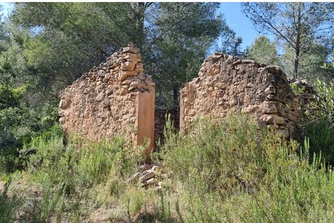 Finca i Benifallet, Tarragona, Benifallet - € 20.000 | Ref: alou - foto 19