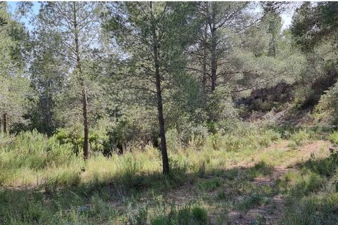 Finca i Benifallet, Tarragona, Benifallet - € 20.000 | Ref: alou - foto 2