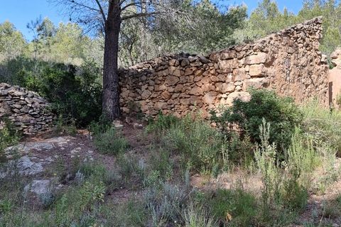 Finca i Benifallet, Tarragona, Benifallet - € 20.000 | Ref: alou - foto 5