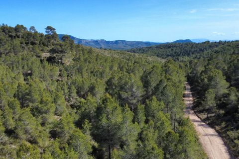 Finca i Benifallet, Tarragona, Benifallet - € 20.000 | Ref: alou - foto 11