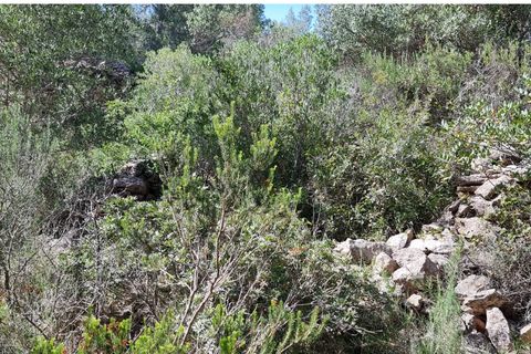 Finca i Benifallet, Tarragona, Benifallet - € 20.000 | Ref: alou - foto 15