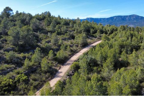 Finca i Benifallet, Tarragona, Benifallet - € 20.000 | Ref: alou - foto 12