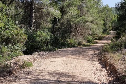 Finca i Benifallet, Tarragona, Benifallet - € 20.000 | Ref: alou - foto 21