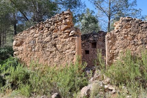 Finca i Benifallet, Tarragona, Benifallet - € 20.000 | Ref: alou - foto 1