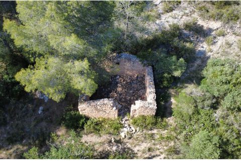 Finca i Benifallet, Tarragona, Benifallet - € 20.000 | Ref: alou - foto 7