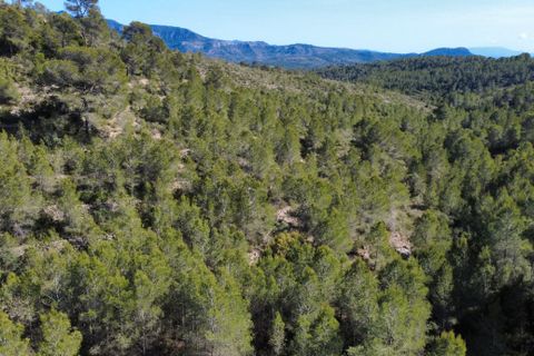 Finca i Benifallet, Tarragona, Benifallet - € 20.000 | Ref: alou - foto 9