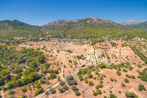 Landejendom i Es Capdella, Mallorca, Es Capdella - € 15.000.000 | Ref: 653 - foto 17