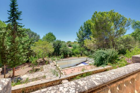 Landejendom i Es Capdella, Mallorca, Es Capdella - € 15.000.000 | Ref: 653 - foto 19