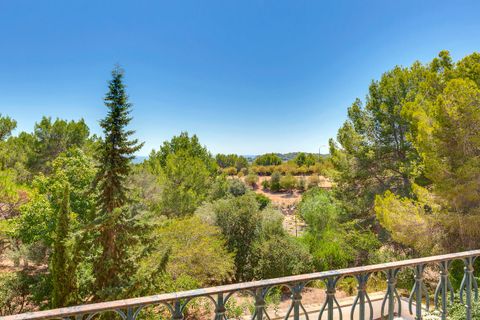 Landejendom i Es Capdella, Mallorca, Es Capdella - € 15.000.000 | Ref: 653 - foto 20
