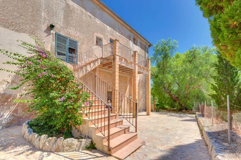 Landejendom i Es Capdella, Mallorca, Es Capdella - € 15.000.000 | Ref: 653 - foto 21