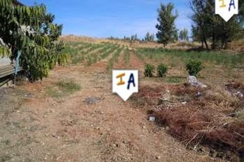 Cortijo i Mures, Jaen, Mures - € 102.000 | Ref: CJ197 - foto 7