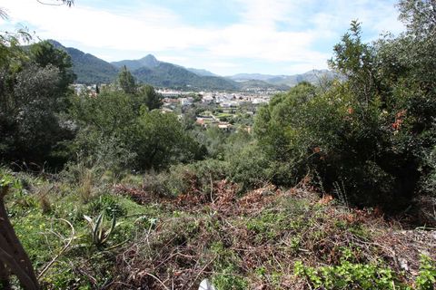 Helårsgrund i Orba, Alicante, Orba - € 95.000 | Ref: 02212 - foto 1