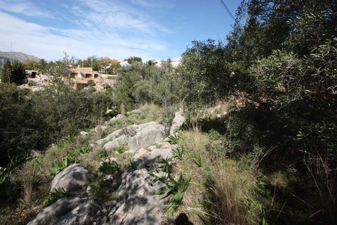 Helårsgrund i Orba, Alicante, Orba - € 95.000 | Ref: 02212 - foto 2