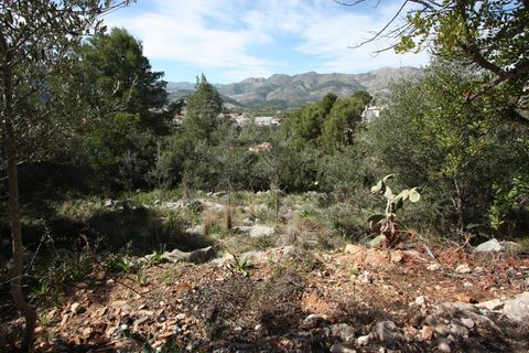 Helårsgrund i Orba, Alicante, Orba - € 95.000 | Ref: 02212 - foto 3