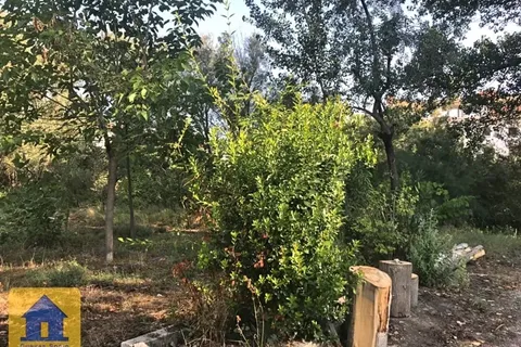 Farm hus i Galera, Granada, Galera - € 175.000 | Ref: cs1952 - foto 39