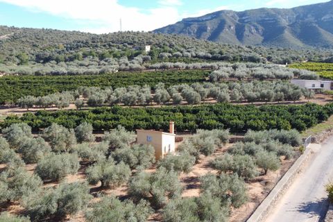 Landejendom i Freginals, Tarragona, Freginals - € 83.000 | Ref: 81 - foto 5
