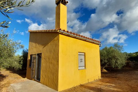 Landejendom i Freginals, Tarragona, Freginals - € 83.000 | Ref: 81 - foto 11