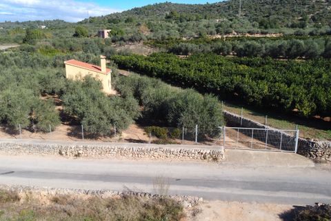 Landejendom i Freginals, Tarragona, Freginals - € 83.000 | Ref: 81 - foto 10